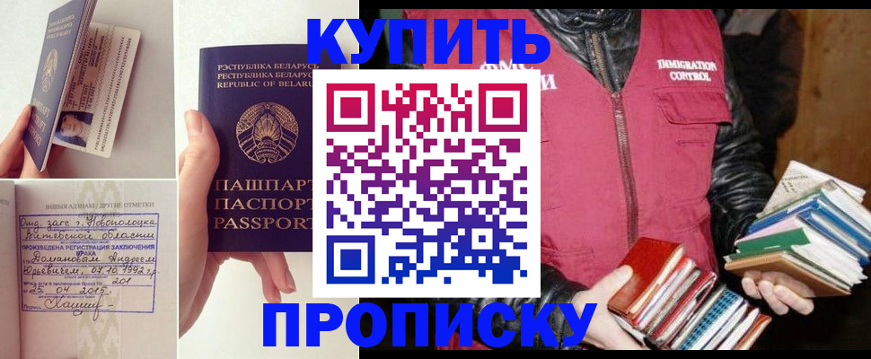 временная регистрация для всех в Курчалом